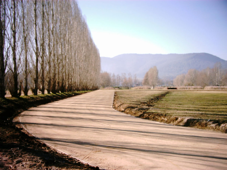pista banyoles