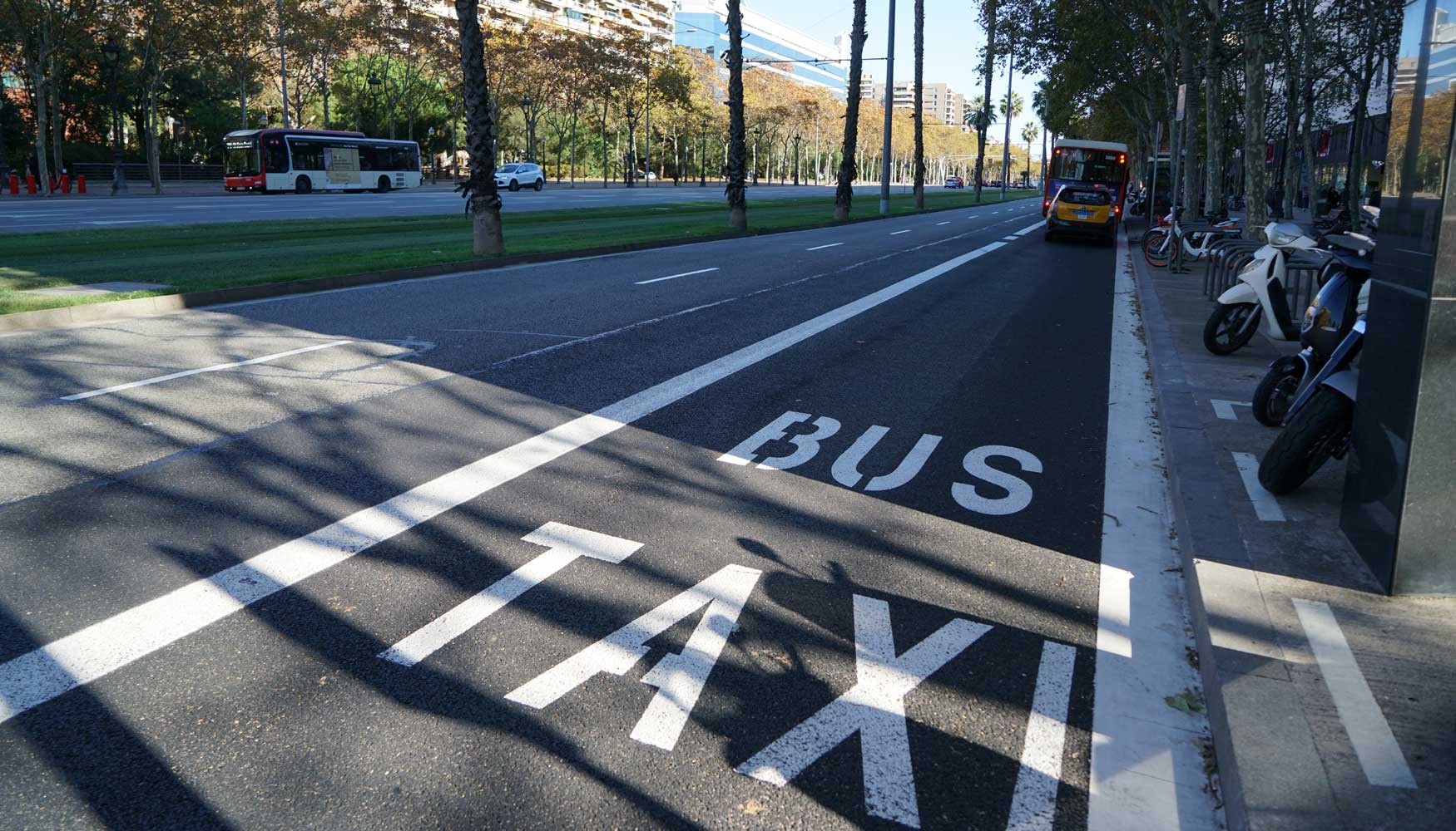 Carril Bici